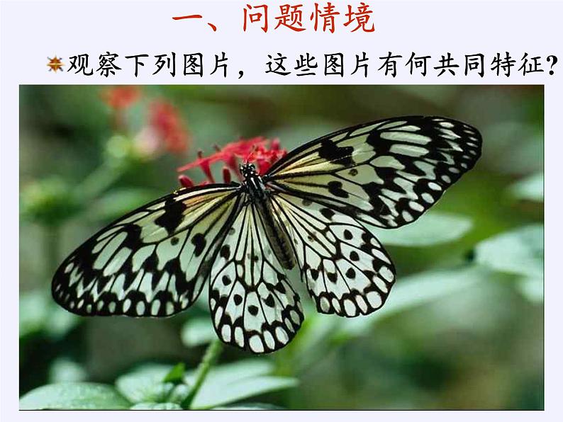 苏教版高中数学必修一 2.2.2 函数的奇偶性(7)（课件）02