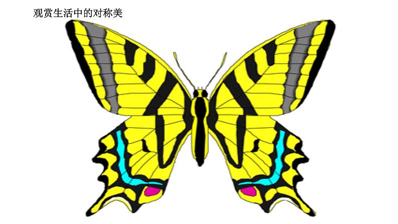 苏教版高中数学必修一2.2.2 函数的奇偶性（课件）第2页