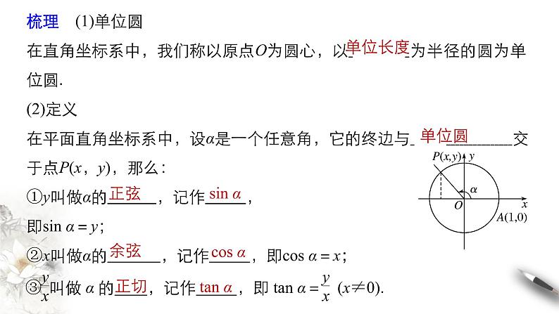 7.2.1 任意角的三角函数 课件第5页