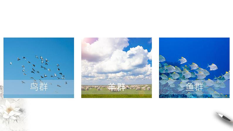 1.1 集合的概念与表示 课件02