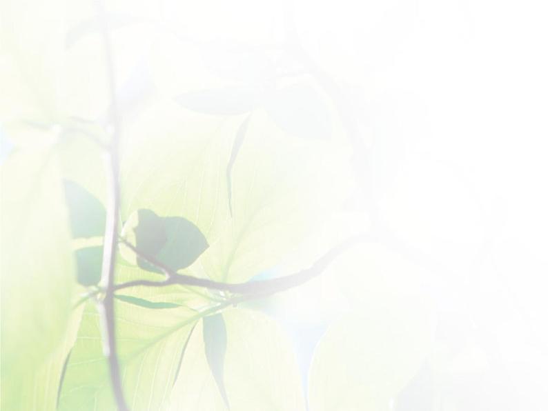 高中数学人教B版必修32.2.1用样本的频率分布估计总体的分布课件（41张）08