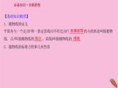 2022版高考苏教版数学（江苏专用）一轮课件：第九章 第七节 抛　物　线