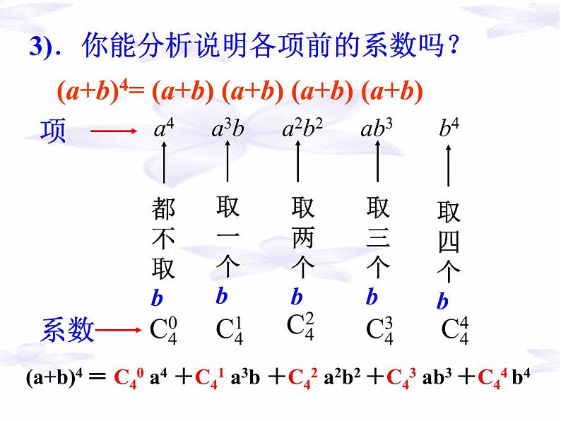 沪教版（上海）数学高三上册-16.5 二项式定理_（课件）第5页