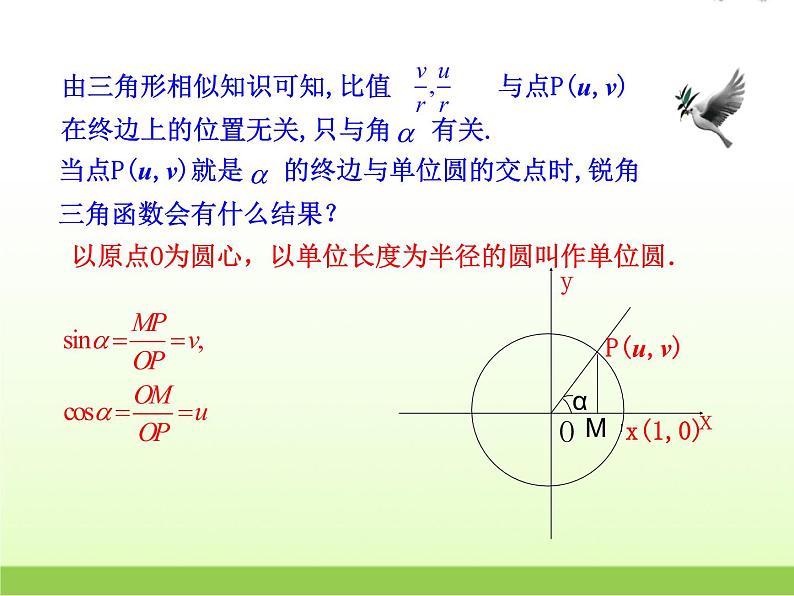高中数学北师大版必修四 1.4.1 任意角的正弦函数、余弦函数的定义 课件（16 张）04