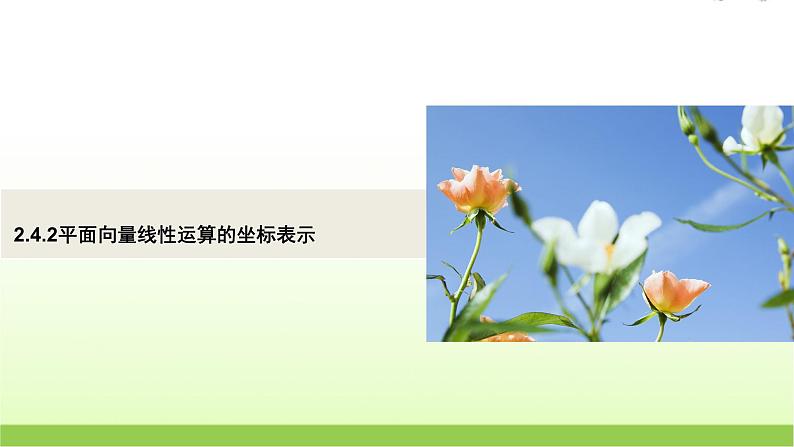 高中数学北师大版必修四 2.4.2平面向量线性运算的坐标表示 课件（65张）第1页