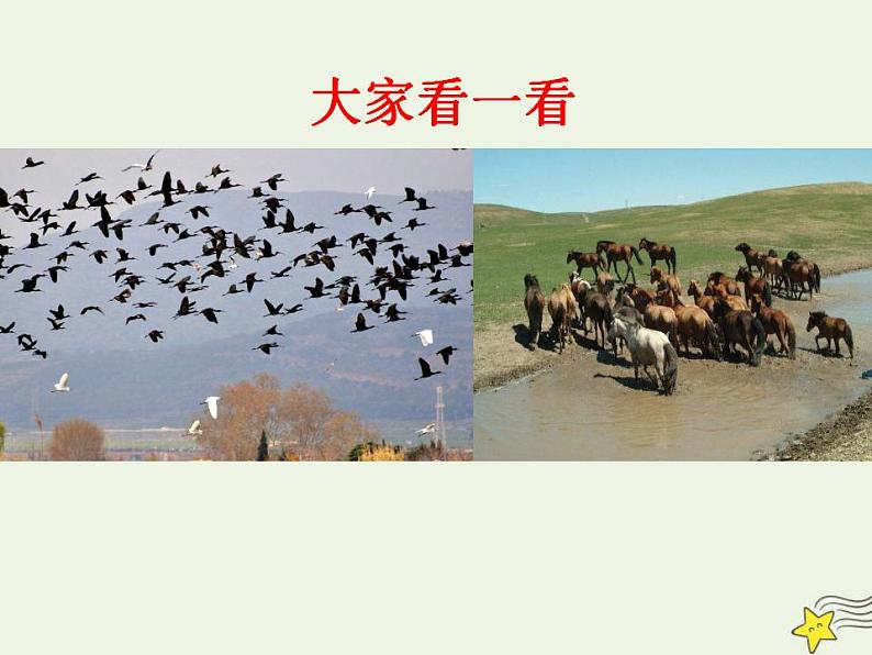 高中数学北师大版必修1 第一章 1 集合的含义与表示 课件（34张）04