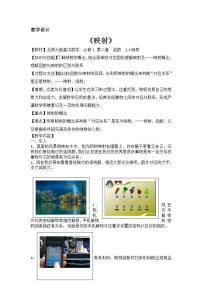 高中数学北师大版必修12.3映射教学设计