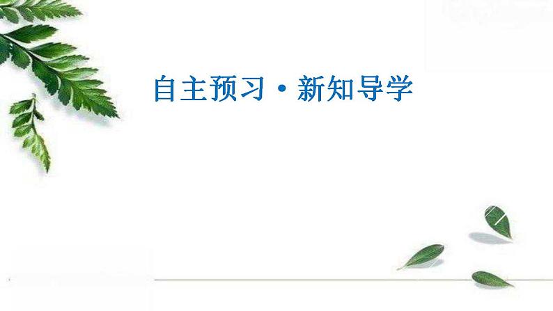 北师大版（2019）高中数学 必修1-6.4.1样本的数字特征课件04