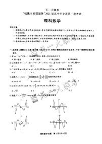 2021届河南省天一大联考系列之皖豫联盟体高三第一次考试 数学理 PDF版练习题
