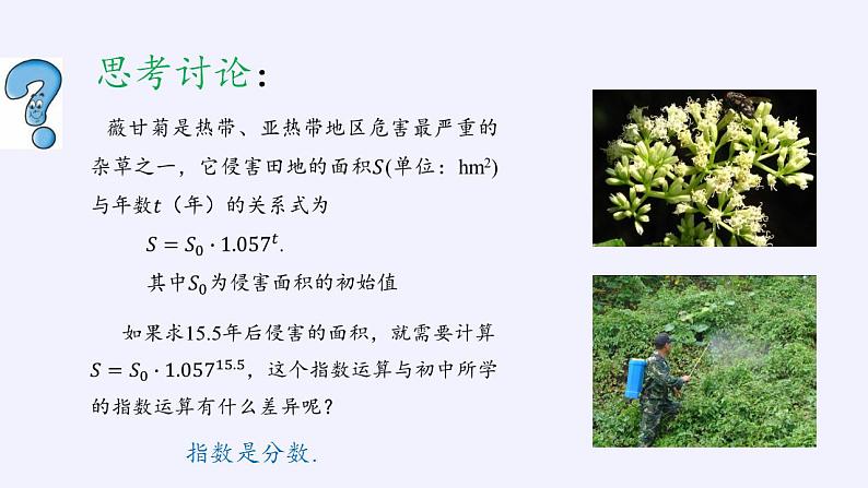北师大版（2019）数学必修第一册 3.1指数幂的拓展（课件）第3页