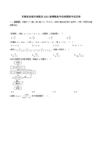 安徽省宣城市郎溪县2021届高考仿真模拟考试数学(理)试题