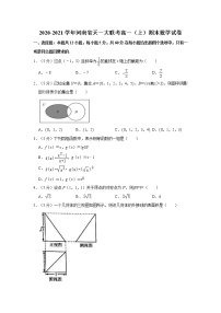 2020-2021学年河南省天一大联考高一（上）期末数学试卷