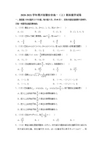 2020-2021学年四川省雅安市高一（上）期末数学试卷