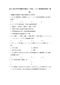 2017-2018学年安徽省马鞍山二中高二（上）期末数学试卷（理科）