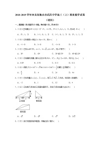 2018-2019学年河北省衡水市武邑中学高三（上）期末数学试卷（理科）