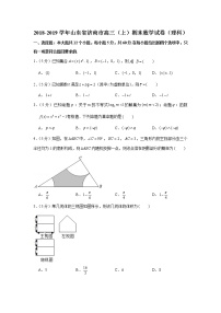 2018-2019学年山东省济南市高三（上）期末数学试卷（理科）