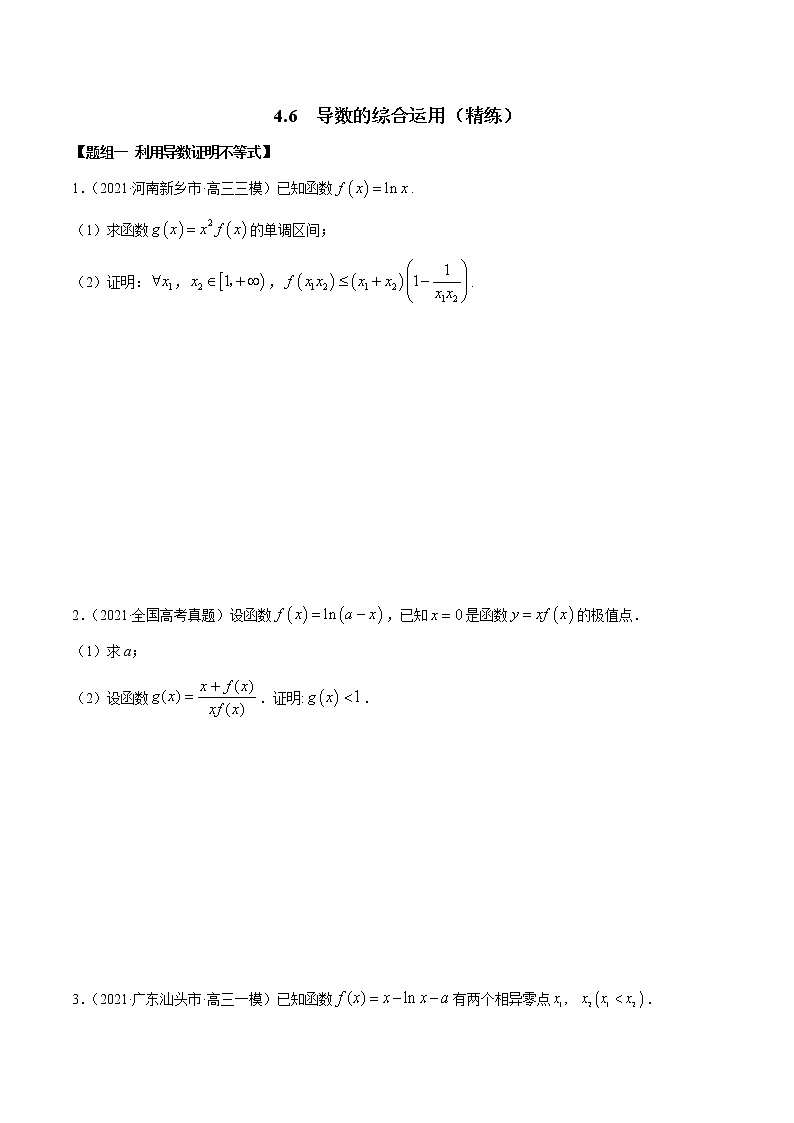 4.6 导数的综合运用（精练）（原卷版）第1页
