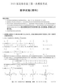 2021届广西北海市高三第一次模拟考试数学（理）试题 PDF版