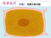 2.1.2指数函数及其性质 课件（23张PPT）-2021-2022学年高一上学期数学人教A版必修1