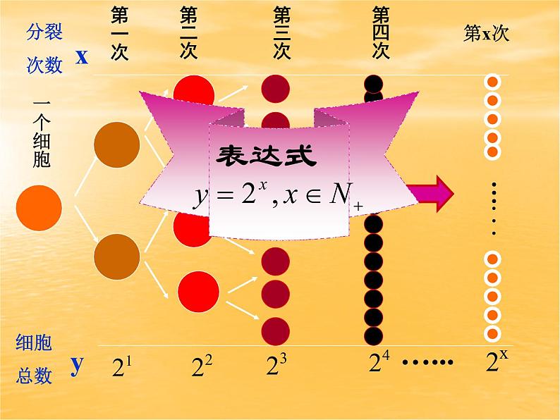 2020—2021学年人教版高一数学《2.1.2指数函数》课件（20张PPT）第3页