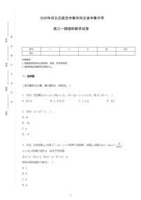 2020年河北石家庄辛集市河北省辛集中学高考一模理科数学试卷（含解析）