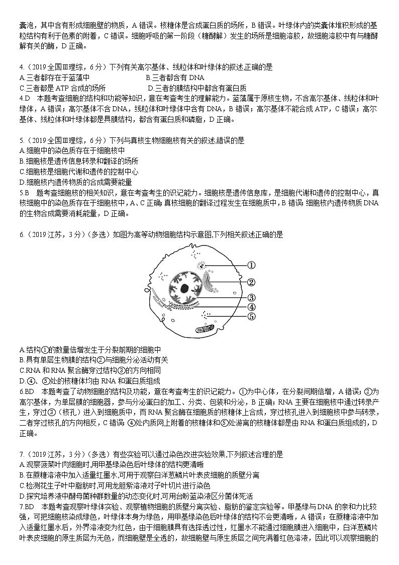 2019高考真题详细解析及考点透析第3页