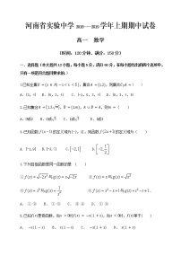 河南省实验中学2018-2019学年高一上学期期中考试 数学含答案练习题