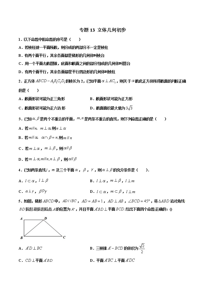 专题13   立体几何初步【多选题】（原卷版）+解析版01