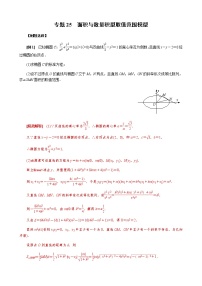 专题25  面积与数量积型取值范围模型(原卷版)