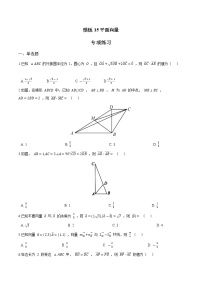 高考数学专项解题方法归纳探究（全国通用）模板15 平面向量专项练习 （原卷版）