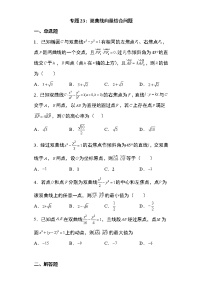 专题23：双曲线向量结合问题19页