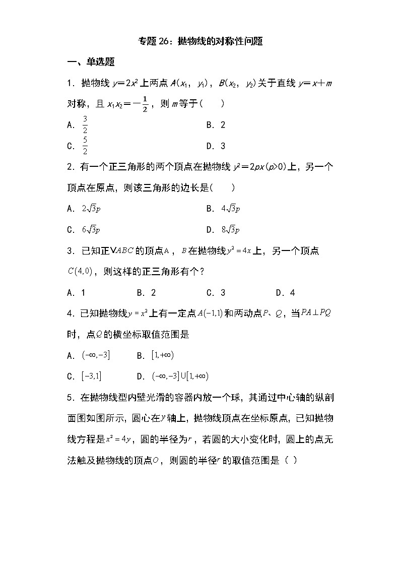 专题26：抛物线的对称性问题18页第1页