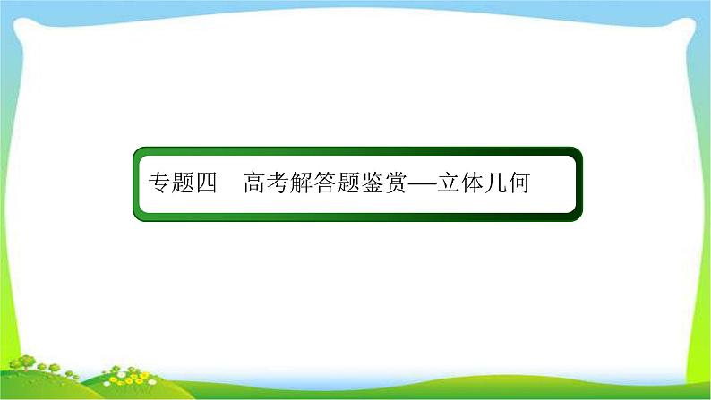 高考数学（文）复习专题四立体几何课件PPT第2页