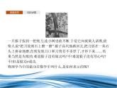 必修2数学新教材北师大版251向量的数量积pptx_17