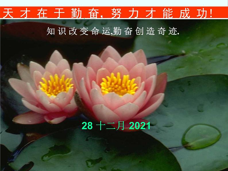 数学：《指数函数》课件1（人教B版必修1）01