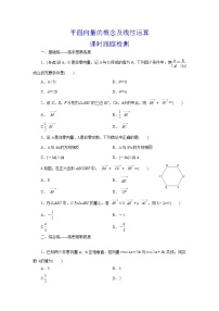 精品高中数学一轮专题-平面向量的概念及其运算二