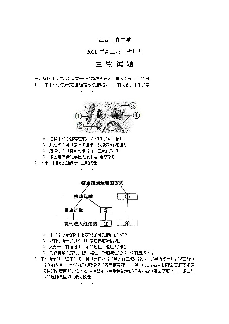 《变化率与导数-1.1.2导数的概念》教案6（人教A版选修2-2）01
