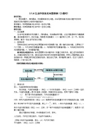 高中数学人教版新课标A选修2-21.4生活中的优化问题举例教学设计
