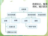 《结构图》课件4（18张PPT）（新人教A版选修1-2）