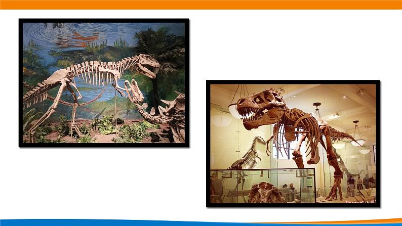 4.4.1对数函数的概念（第一课时）.pptx02