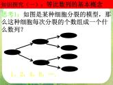 数学：2.4《等比数列》课件（2课时）（新人教A版必修5）