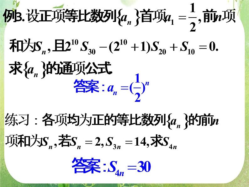 湖南省桃江四中高一数学人教A版必修5 2.5《等比数列的前n项和(二)》课件05