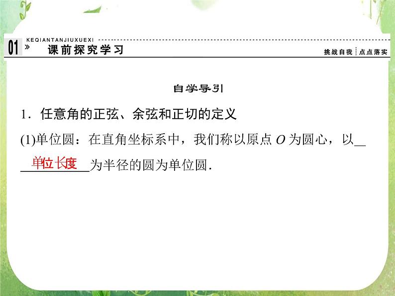高一数学《1.2.1-1任意角的三角函数》课件新课程（新课标人教A版）必修四03