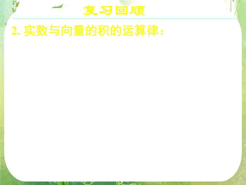 《向量数乘运算及其几何意义(二)》新人教数学A版必修四课件08