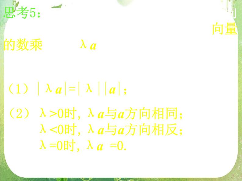 河南省洛阳市第二外国语学校高中数学新人教A版必修四课件：2.2.3向量数乘运算及其几何意义06