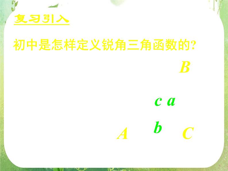 《任意角的三角函数(一)》新人教数学A版必修四课件第2页