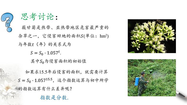 北师大版（2019）数学必修第一册：3.1《指数幂的拓展》PPT课件（共17页）03