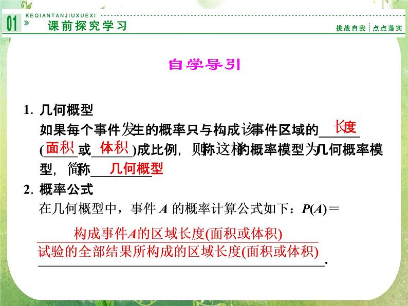 山东省高中数学（新课标人教A版）必修三《3.3.1几何概型》课件02