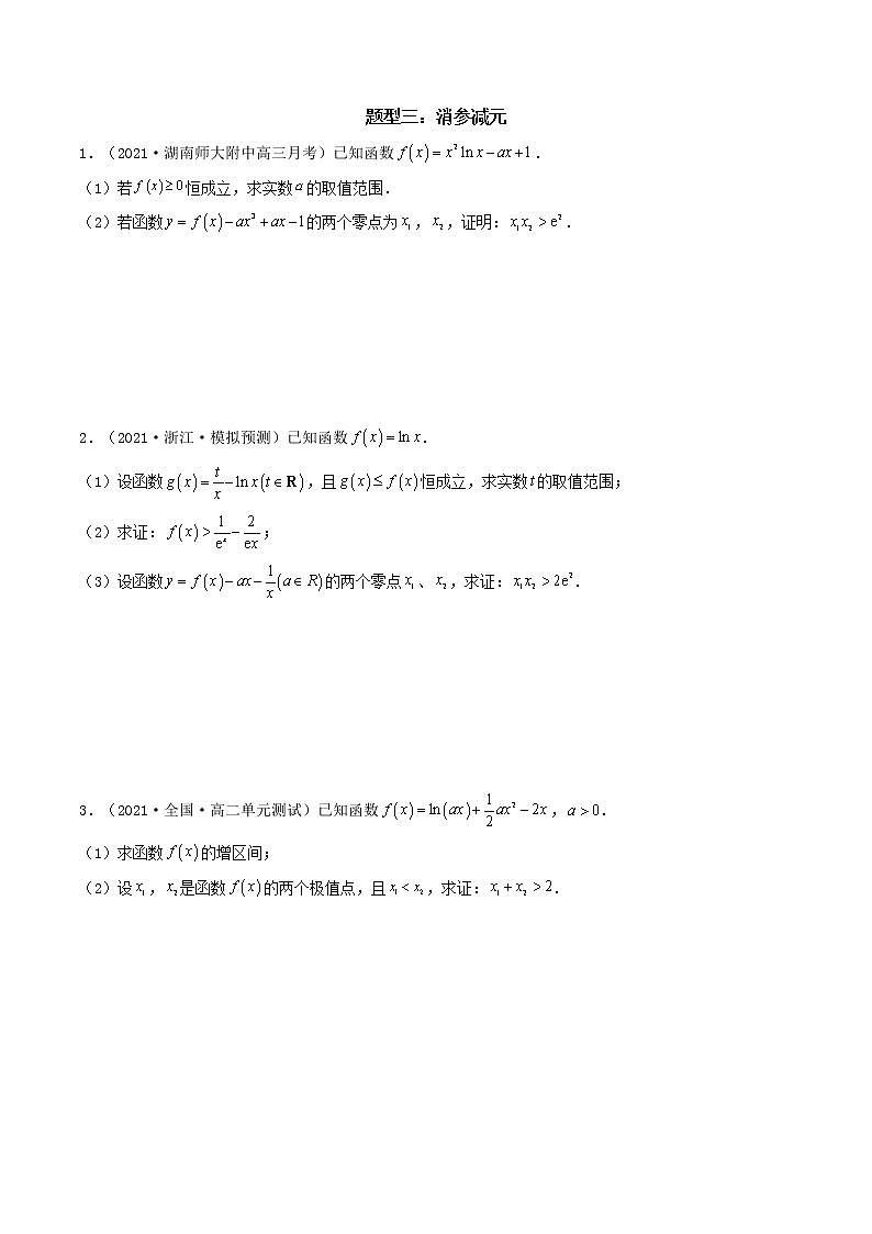 第7讲  解决极值点偏移问题的四大技巧（原卷版）03