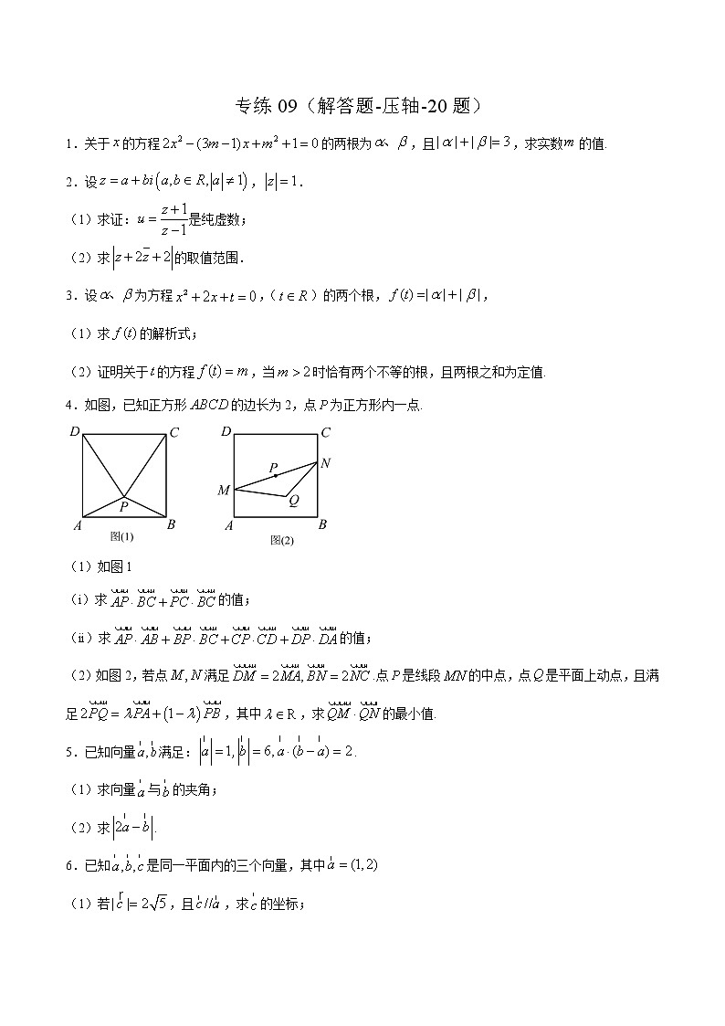 专练09（解答题-压轴，20题）-2020~2021学年高一数学下学期期末考点必杀黄金200题（北师大2019版）（原卷版）第1页